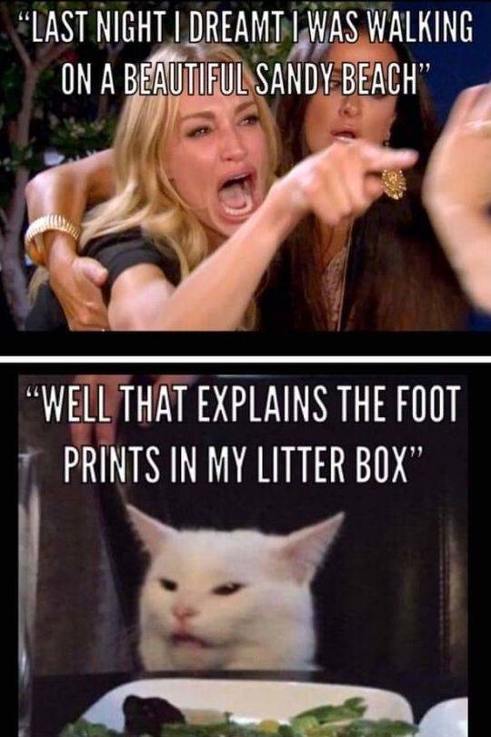 Dirty Mind, Come Here!