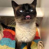 you dont need your bra 56 pics.html - 56 HD Photos | Premium Gallery 2020