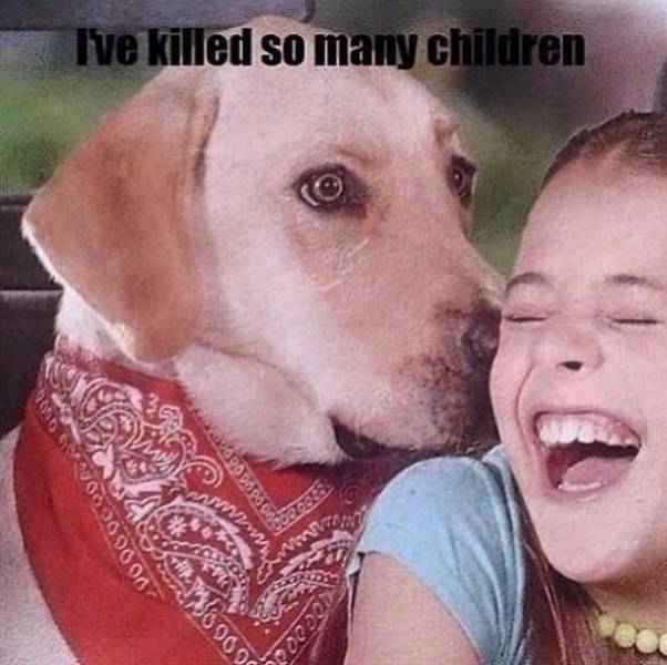 Don’t Laugh. At All