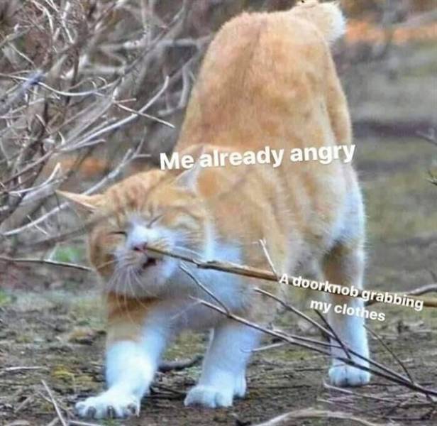 Don’t Laugh. At All