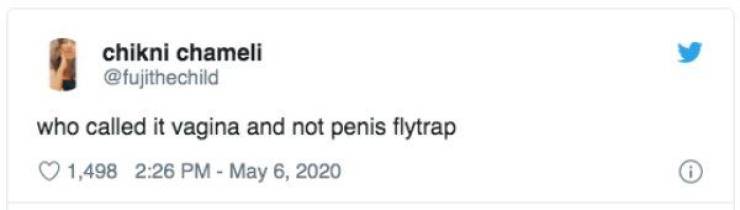 Dirty Mind, Come Here!