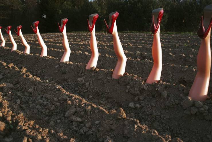 Sometimes You Just Can’t Explain…