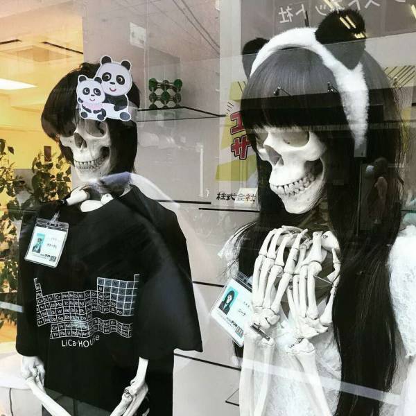 Sometimes You Just Can’t Explain…