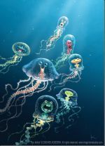 Curiosities and bonus pictures