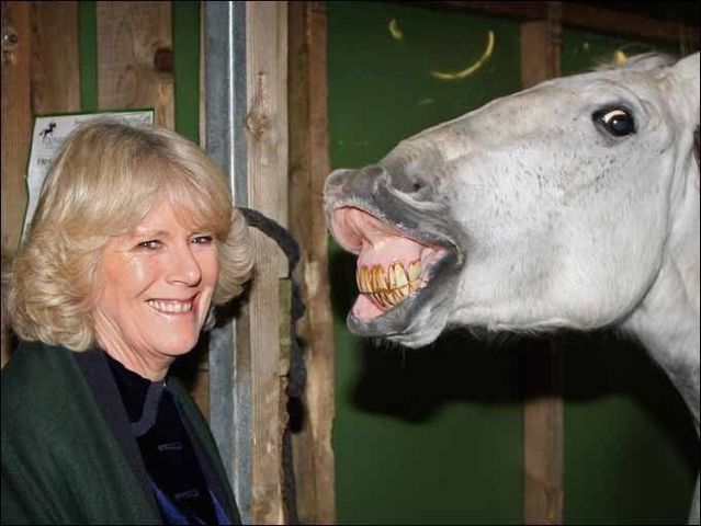 42 shoking celebrity photos of 2008 (33 pics)