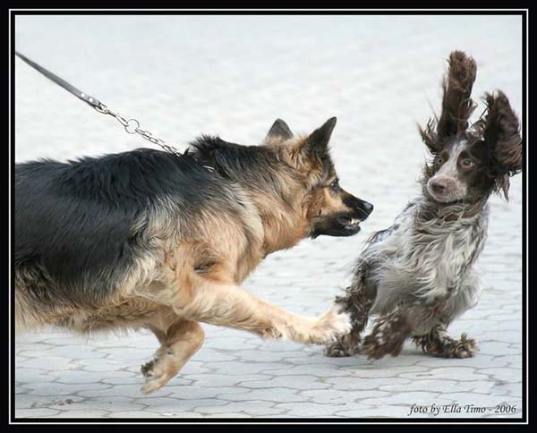 Pictures taken by surprise. Part 2 (67 pics)