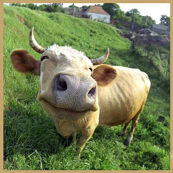 Pictures taken by surprise. Part 2 (67 pics)