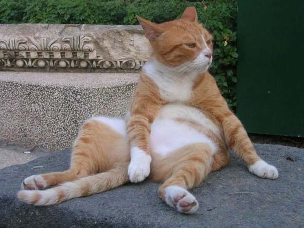 Pictures taken by surprise. Part 2 (67 pics)