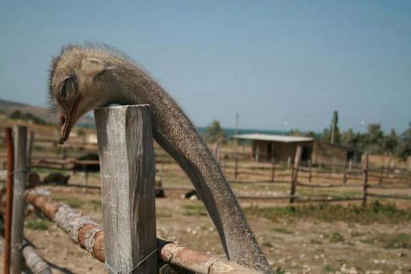 Pictures taken by surprise. Part 2 (67 pics)