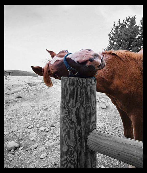 Pictures taken by surprise. Part 2 (67 pics)