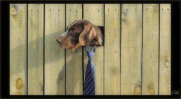 Pictures taken by surprise. Part 2 (67 pics)