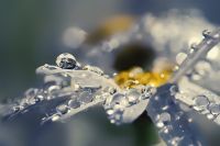 Curiosities and bonus pictures