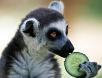 Curiosities and bonus pictures