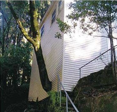 Construction stupidity (93 pics)