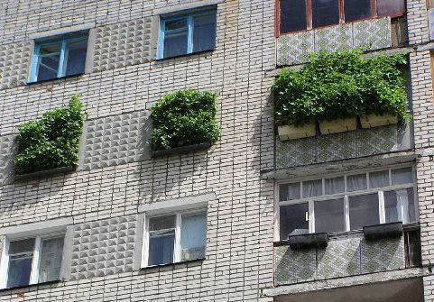 Construction stupidity (93 pics)