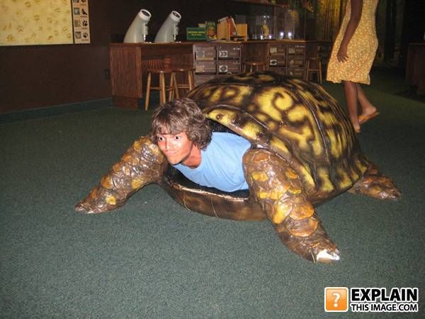 Random pictures that make no sense (55 pics)