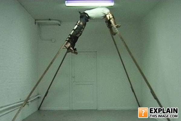 Random pictures that make no sense (55 pics)