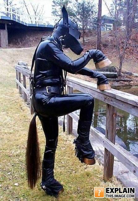 Random pictures that make no sense (55 pics)