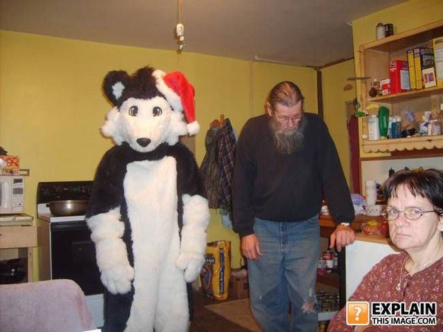 Random pictures that make no sense (55 pics)