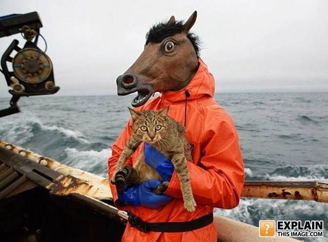 Random pictures that make no sense (55 pics)