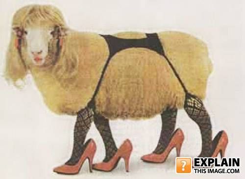 Random pictures that make no sense (55 pics)