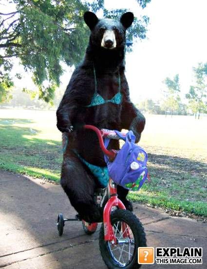 Random pictures that make no sense (55 pics)