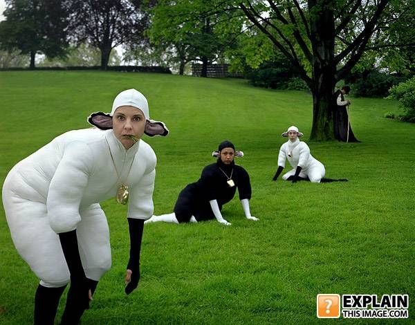 Random pictures that make no sense (55 pics)