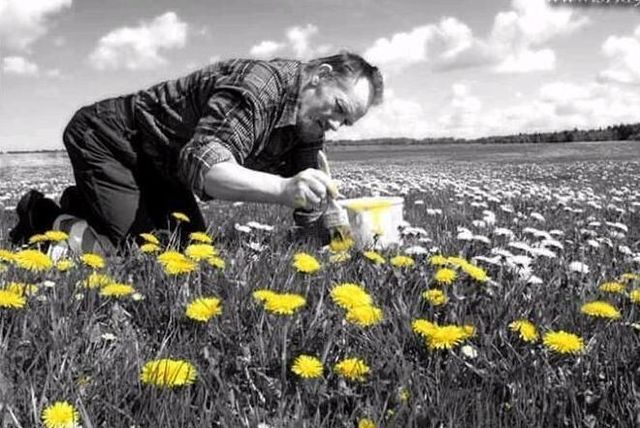 Funny picdump (97 pics)