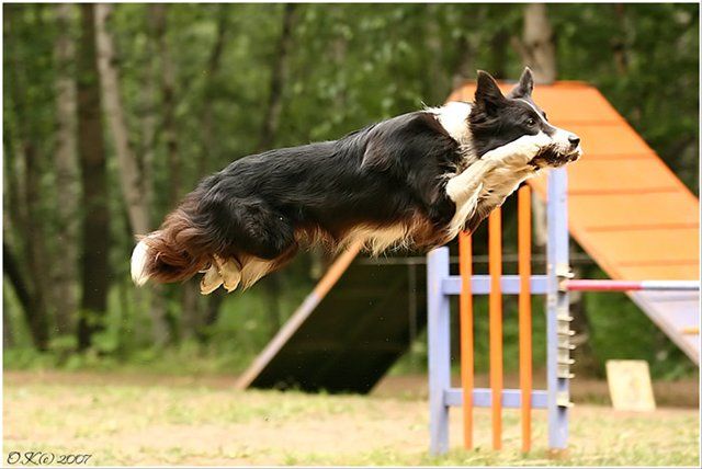 Funny picdump (97 pics)