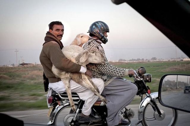 Funny picdump (97 pics)