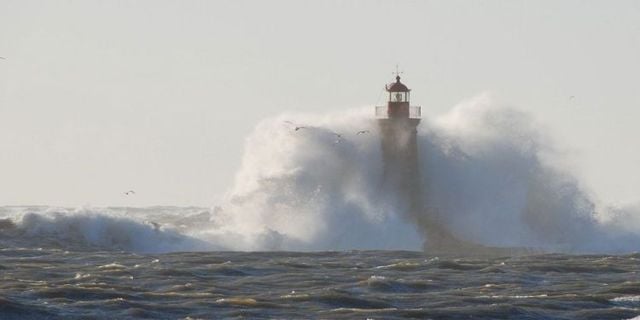 Funny picdump (97 pics)