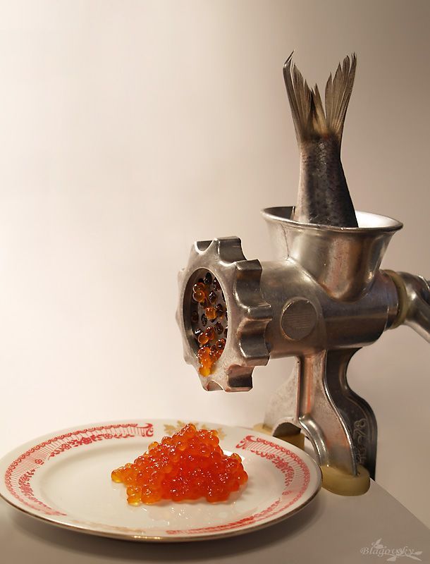 Funny picdump (97 pics)