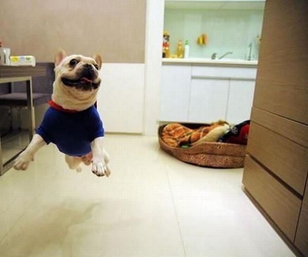 Funny picdump (97 pics)