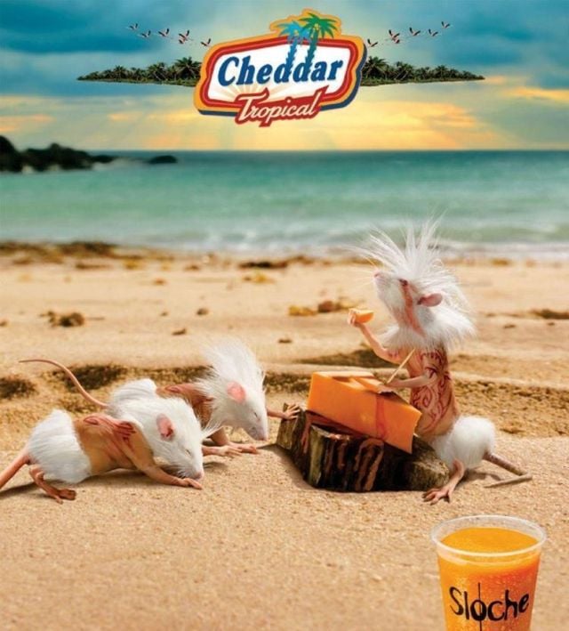 Funny picdump (97 pics)