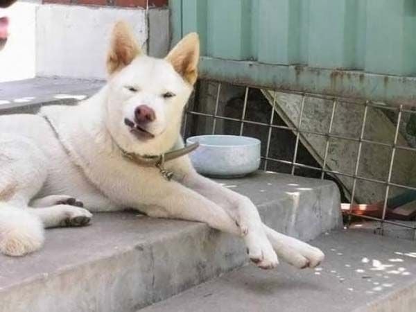 Funny picdump (97 pics)