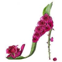 6 - 1 HD Gallery | Premium Gallery 2026