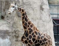 Curiosities and bonus pictures