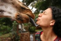 Curiosities and bonus pictures