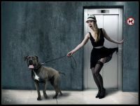 Curiosities and bonus pictures