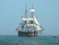 Curiosities and bonus pictures