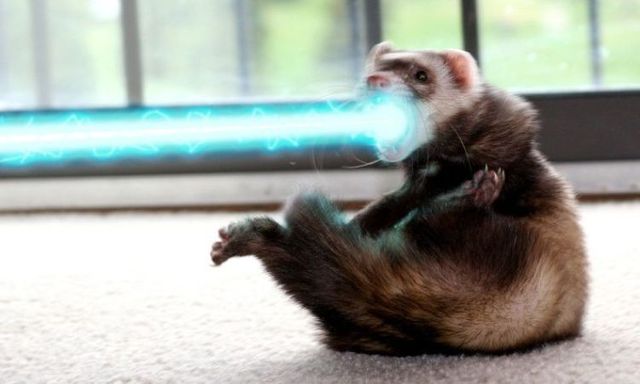 Funny picdump (107 pics)