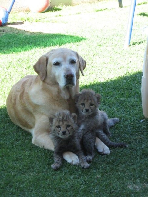 Funny picdump (107 pics)