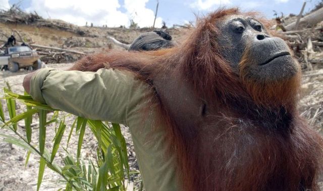 Funny picdump (107 pics)