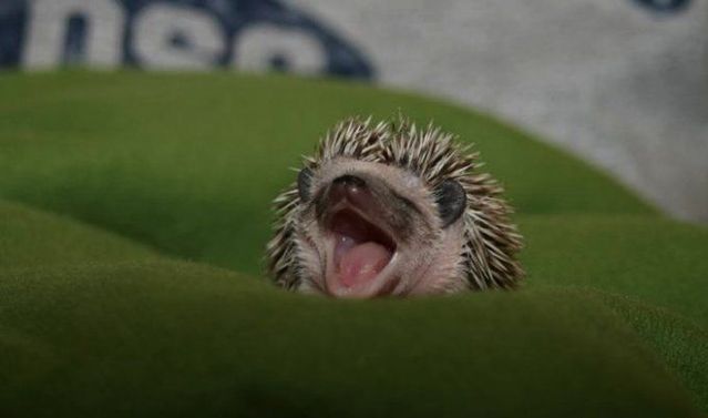 Funny picdump (123 pics)