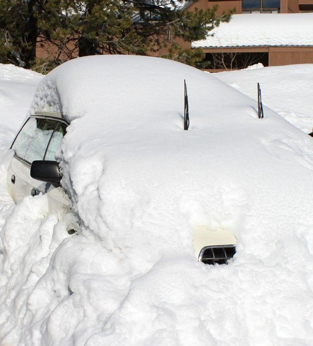 Funny picdump (123 pics)