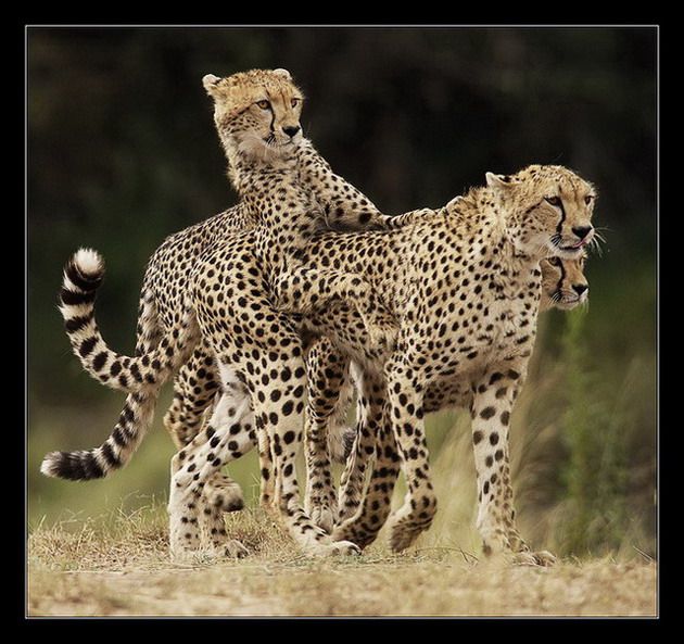 Funny picdump (123 pics)