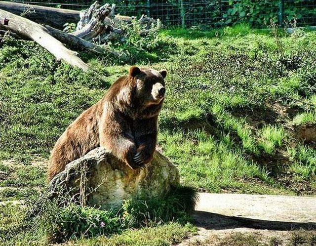 Funny picdump (123 pics)