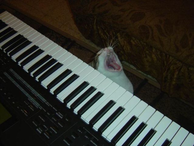 Funny picdump (123 pics)