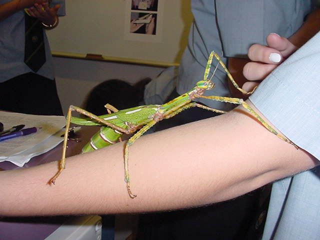 Funny picdump (123 pics)