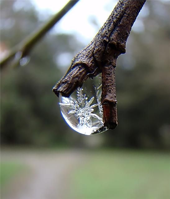 Funny picdump (125 pics)